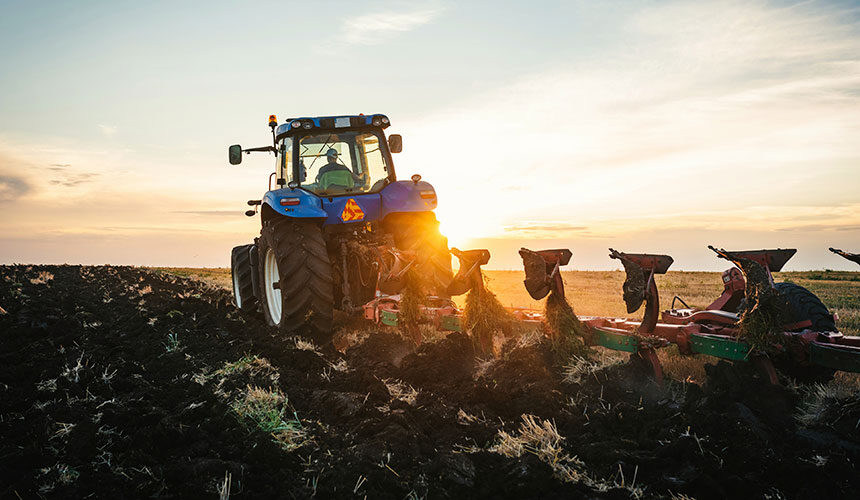 Disgregazione dello strato arabile tramite aratura dopo il raccolto