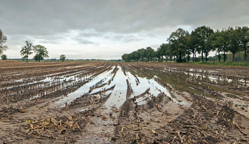 Il terreno intriso d’acqua è molto difficile da lavorare